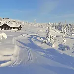 Koselig Sentralt Pa Norefjell, In & Out *
