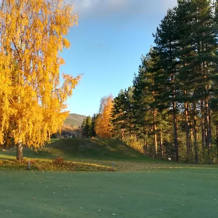 Daire Koselig Sentralt Pa Norefjell, In & Out