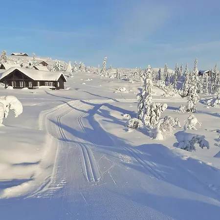 Koselig Sentralt Pa Norefjell, In & Out *