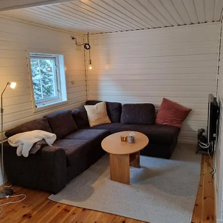 Daire Koselig Sentralt Pa Norefjell, In & Out Noresund