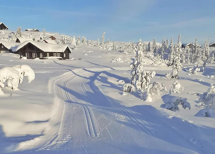 Koselig Sentralt På Norefjell, In&out *
